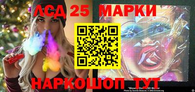 гидра Моздок