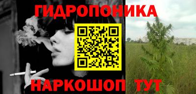 гидра Моздок