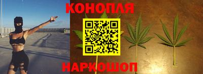 гидра Моздок