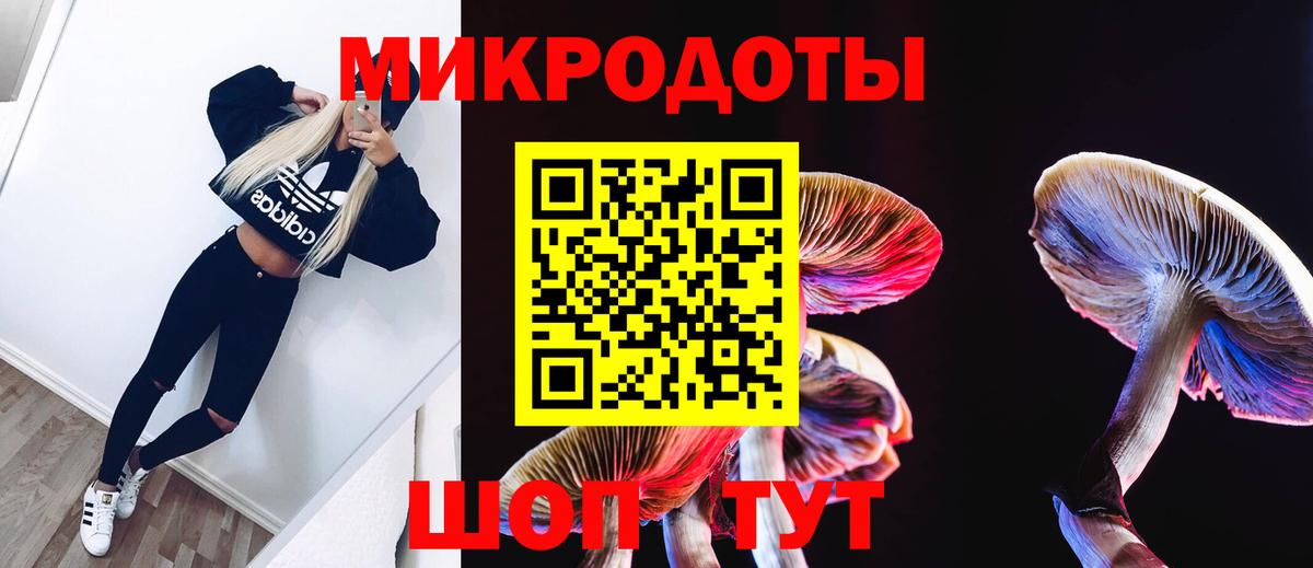 Псилоцибиновые грибы Psilocybe  Вход с VPN  Будённовск 